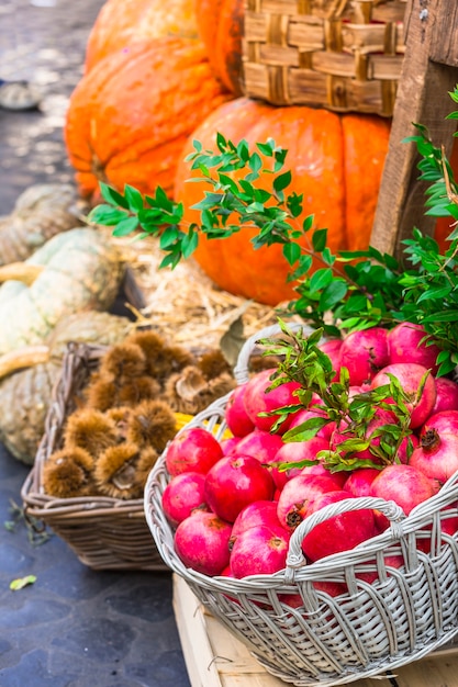 Mercato della frutta con castagne, zucche e granati a Campo di Fiori, Roma