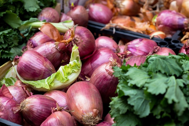 Mercato e frutta. cipolla in primo piano