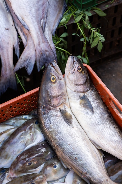 Mercato locale marocchino per le strade con spezie noci pesce frutta e verdura