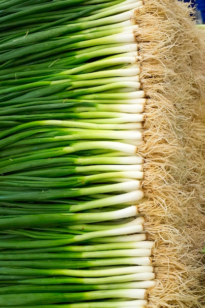 Mercato ortofrutticolo; cibo fresco, biologico, cipolla verde