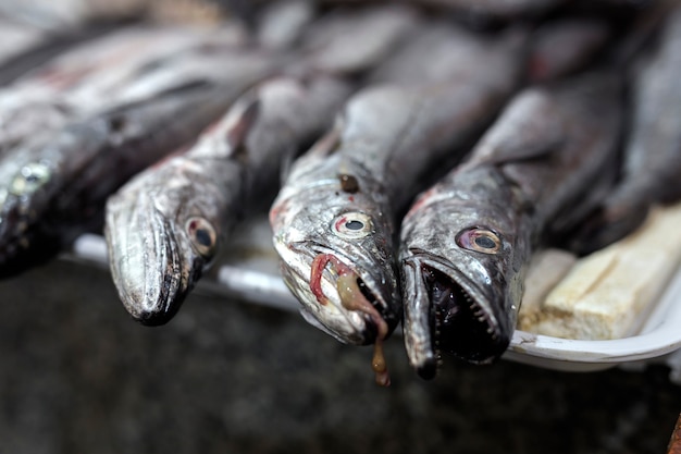 Mercato tradizionale di pesce assortito