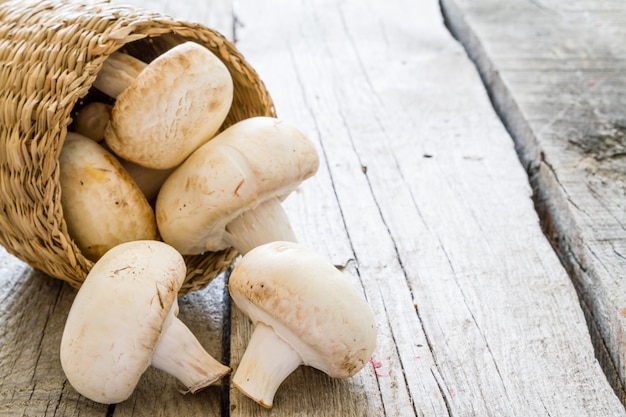 Merce nel carrello cruda dei funghi, spazio della copia