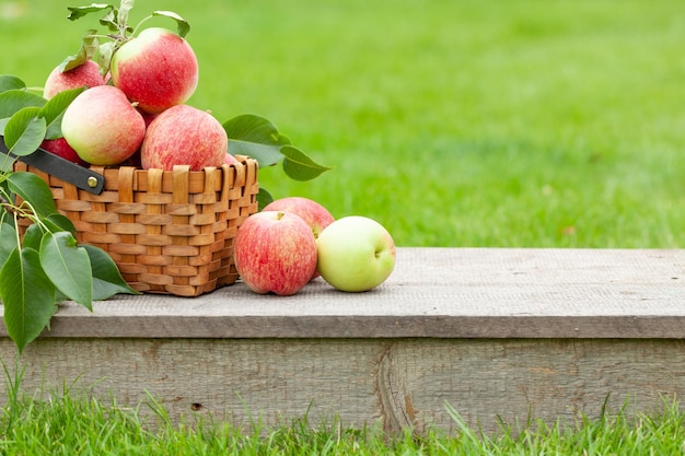 Merce nel carrello della frutta matura della mela del giardino