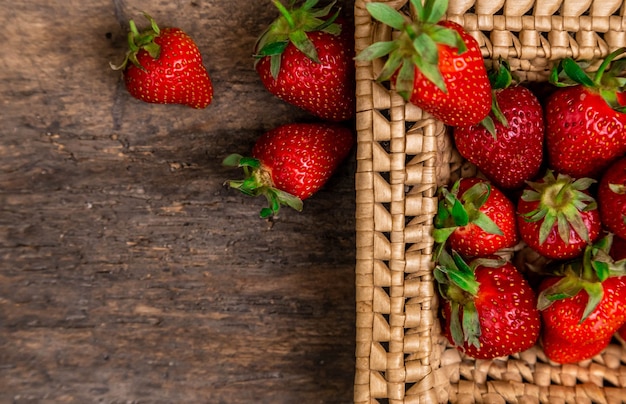 Merce nel carrello delle fragole succose fresche. Cesto di vimini pieno di fragole appena raccolte su sfondo di legno d'epoca