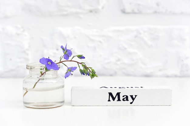Mese di legno del calendario di maggio e fiore blu in vaso della bottiglia sul muro di mattoni bianco del fondo della tavola