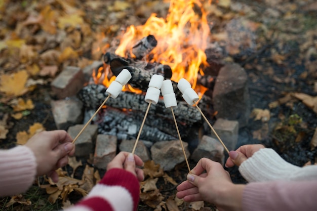 Messa a fuoco selettiva Concetto di campeggio e picnic Primo piano di persone che friggono marshmallow