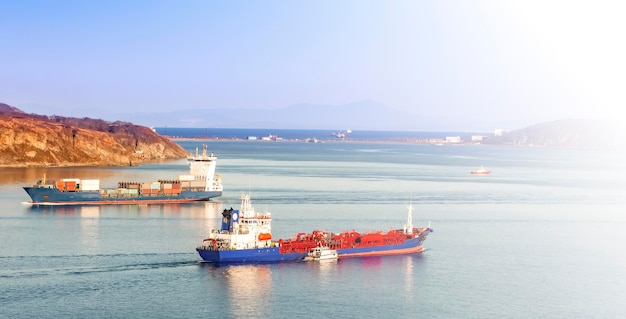 Messa a fuoco selettiva la grande nave portacontainer e la nave reefer al mare blu alla luce del sole soffusa