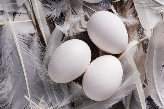 Messa a fuoco selettiva, uova di gallina fresche