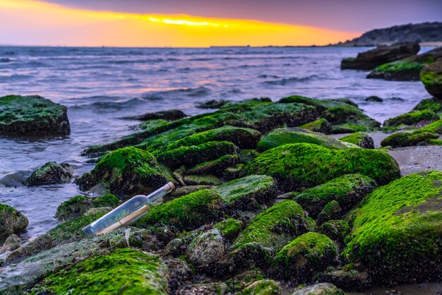 Messaggio in bottiglia su una roccia ricoperta di alghe verdi, chiedendo aiuto, SOS