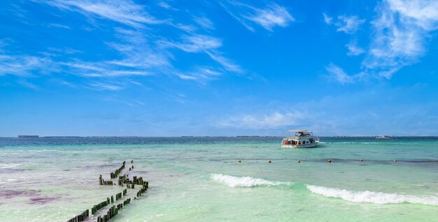 Messico Cancun Isla Mujeres Playa Norte spiaggia di sabbia con palme in attesa di turisti