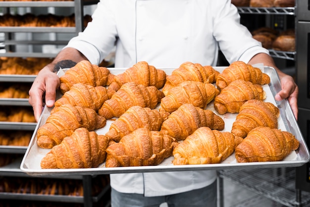 Metà di sezione di un vassoio di croissant della mano del panettiere maschio nella pasticceria