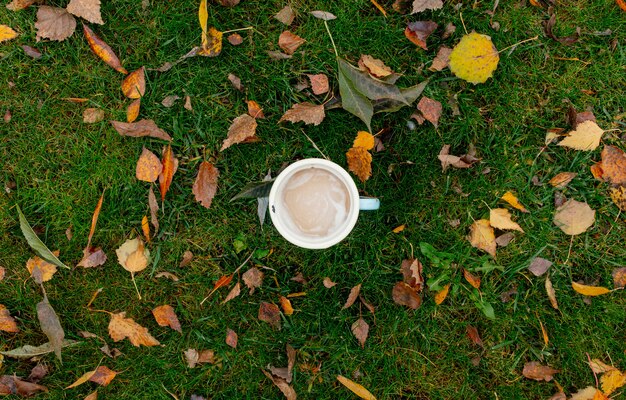 Metal la tazza blu con caffè su erba verde con le foglie nel tempo di stagione di autunno