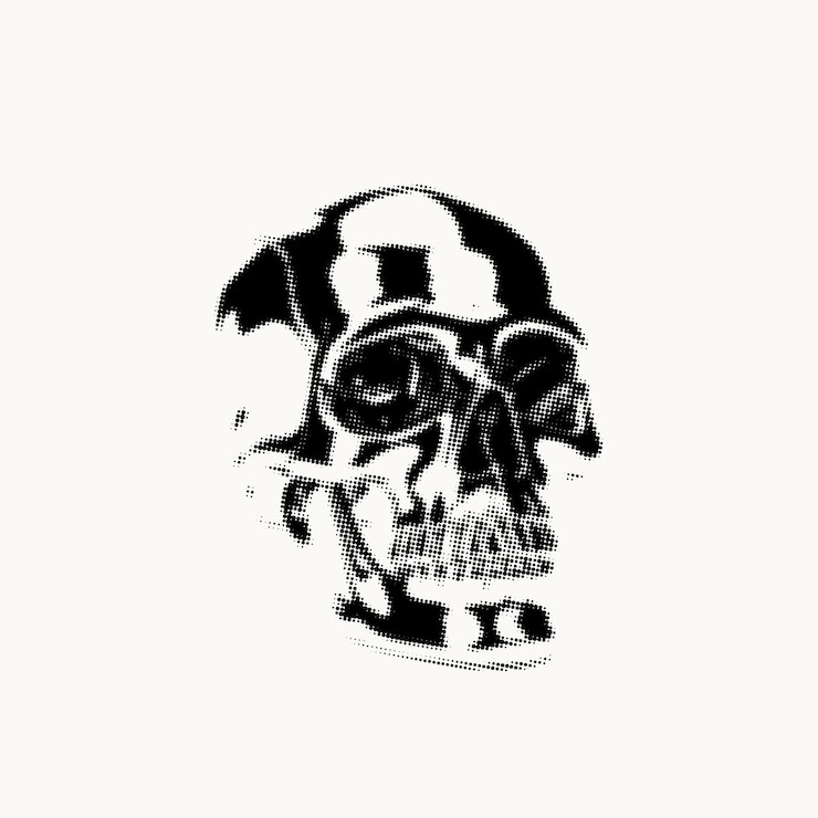 Photo metal skull halftone design
