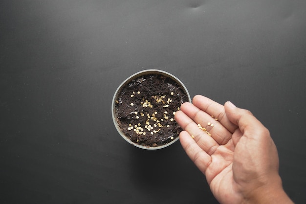 Mettere i piccoli semi di peperoncino in un vaso con terriccio