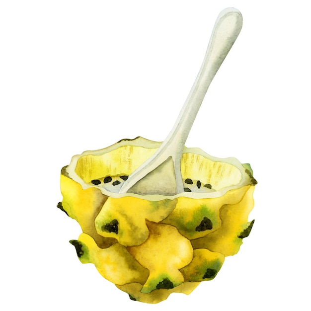 Mezzo dessert di frutta del drago giallo con illustrazione dell'acquerello del cucchiaio Pitaya tropicale asiatico con semi