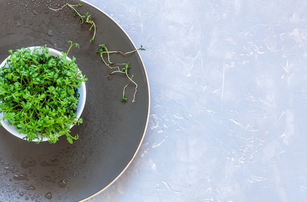 Micro verdi dell'insalata di crescione su un piatto.