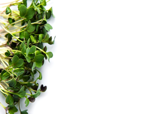 Micro verdi su un tavolo bianco. Cibo biologico sano e fresco, concetto di ristorante che serve. Vista dall'alto, copia dello spazio