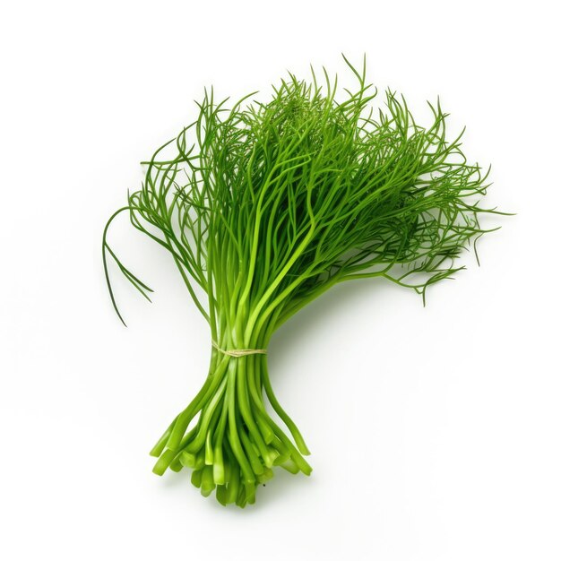 Microgreen Finocchio Foeniculum vulgare isolato AI generativa