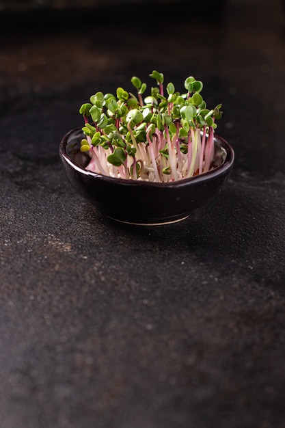 Microgreen fresco ravanello petali verdi piantine cibo crudo fresco pronto da mangiare spuntino pasto sul tavolo