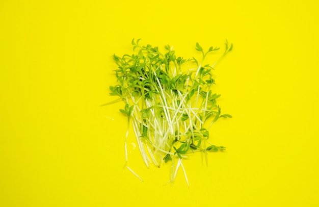 Microgreen germogli lattuga di crescione su uno sfondo bianco e giallo. Messa a fuoco selettiva. cibo