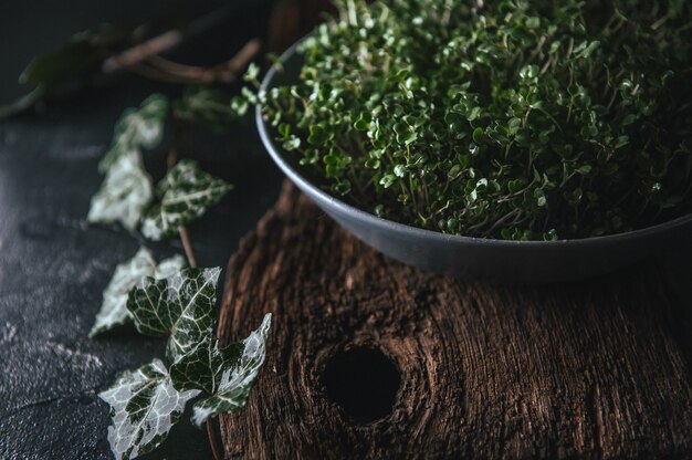 Microgreen in un piatto grigio su un rustico in legno