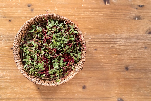 Microgreens di ravanello con steli viola e foglie verdi nel cesto