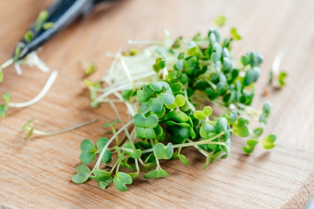 Microgreens di rucola appena tagliati germogli sul tagliere in cucina