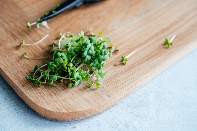 Microgreens di rucola appena tagliati germogli sul tagliere in cucina