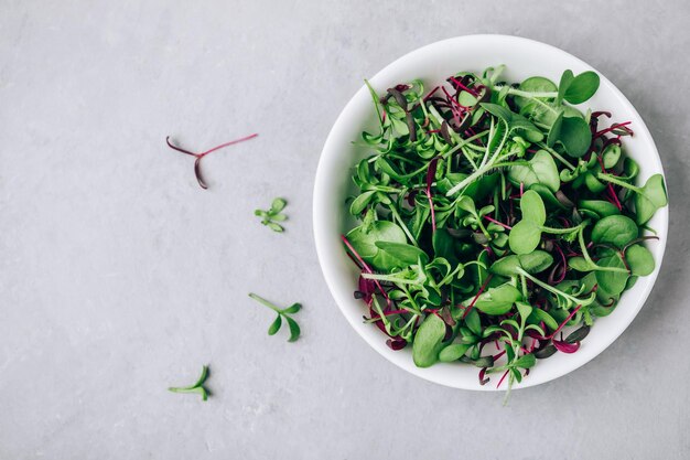 Microgreens Superfood mix di germogli microgreen in una ciotola su sfondo di pietra grigia