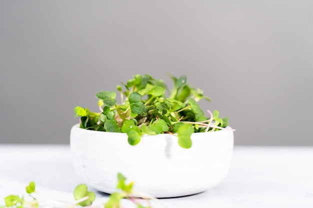 Microgreens