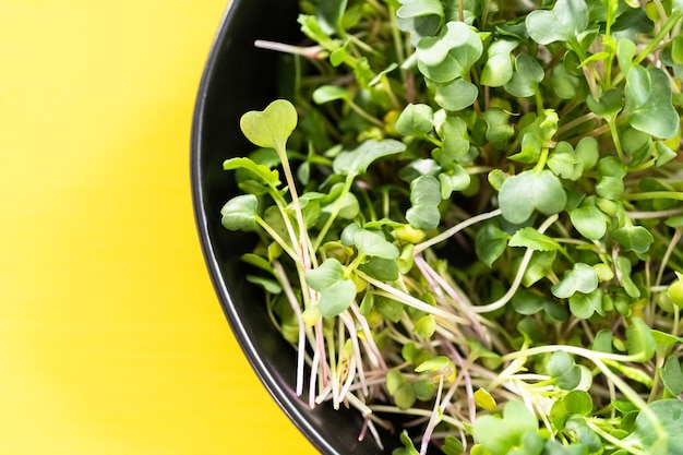 Microgreens