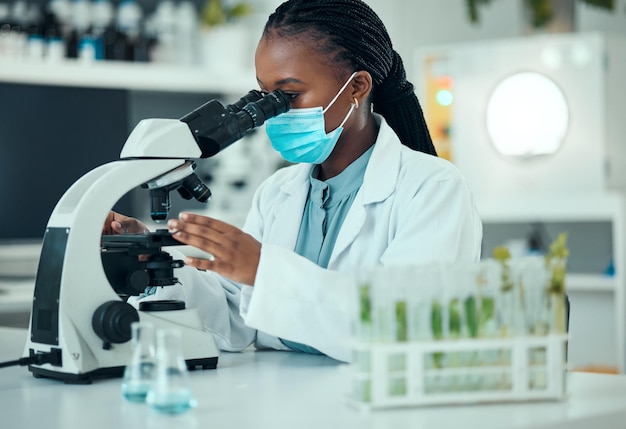 Microscopio donna nera e laboratorio di scienze vegetali studio e analisi di farmaci farmaceutici naturali o biotecnologie Ricerca di laboratorio botanico o scienziata controlla campione di biochimica organica