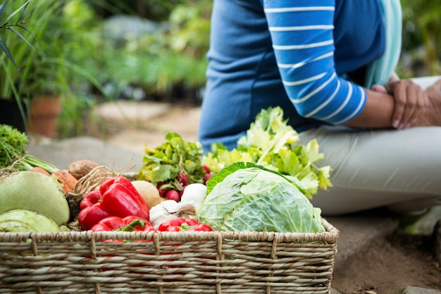 Midsection della donna con gli ortaggi freschi all'orto comunitario