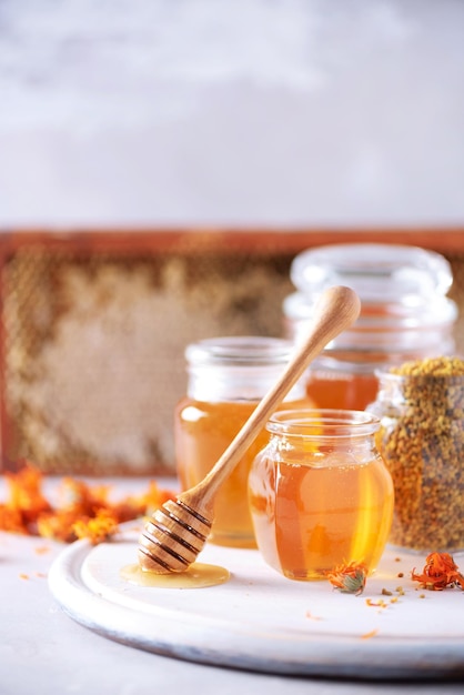 Miele di erbe in vaso con merlo acquaiolo a nido d'ape granuli di polline d'api fiori di calendula su sfondo grigio