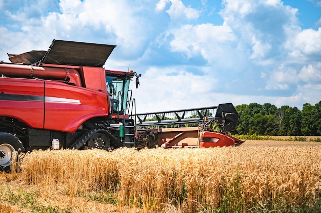 Mietitrebbia al lavoro per la raccolta di un campo di grano Tema di macchine agricole