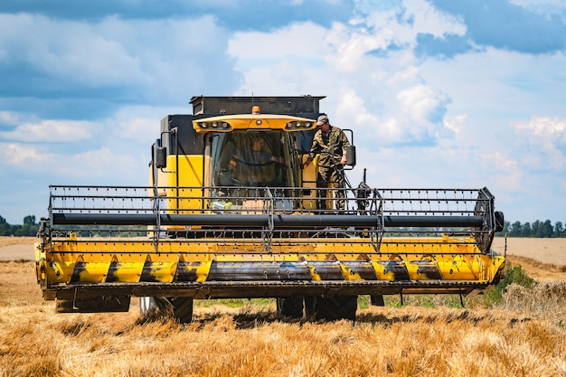 Mietitrebbia in azione sul campo di grano.