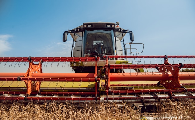 Mietitrebbia in azione sul campo di grano