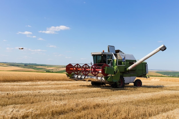 mietitrebbia lavorando su un campo di grano