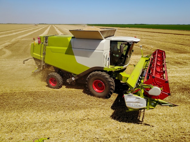 Mietitrebbia nel campo di grano con polvere di paglia nell'aria.