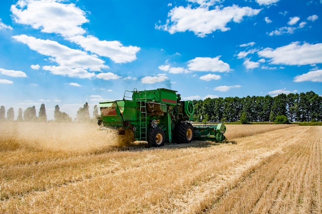 mietitrebbia su un campo di grano con cielo blu. tempo di raccolta.