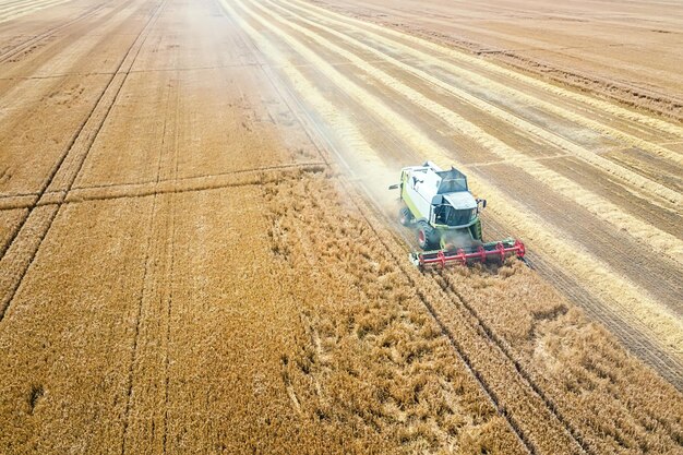 Mietitrebbiatrice lavorando su un campo di grano. Vista aerea della mietitrebbiatrice.