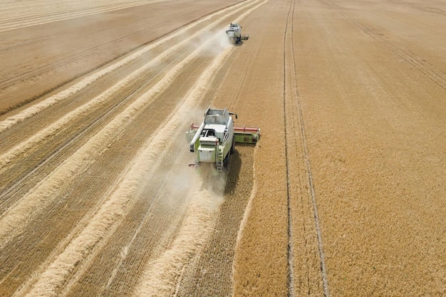 Mietitrebbiatrice lavorando su un campo di grano. Vista aerea della mietitrebbiatrice.