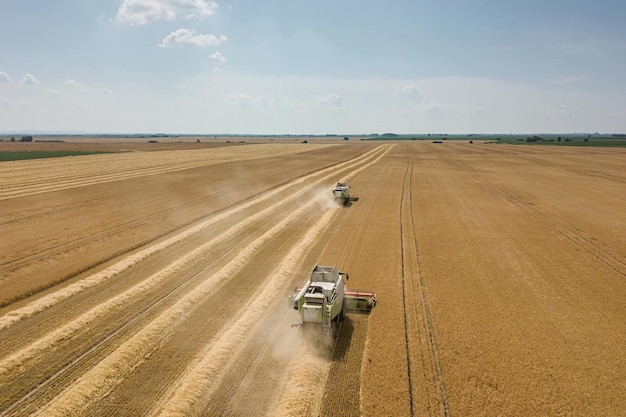 Mietitrebbiatrice lavorando su un campo di grano. Vista aerea della mietitrebbiatrice.