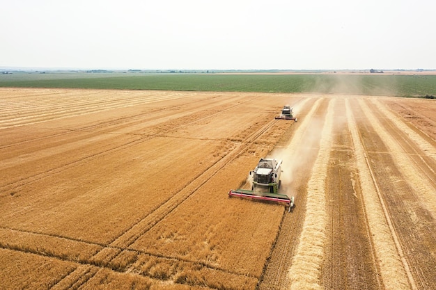 Mietitrebbiatrice lavorando su un campo di grano. Vista aerea della mietitrebbiatrice.