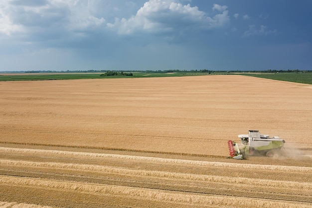 Mietitrebbiatrice lavorando su un campo di grano. Vista aerea della mietitrebbiatrice.