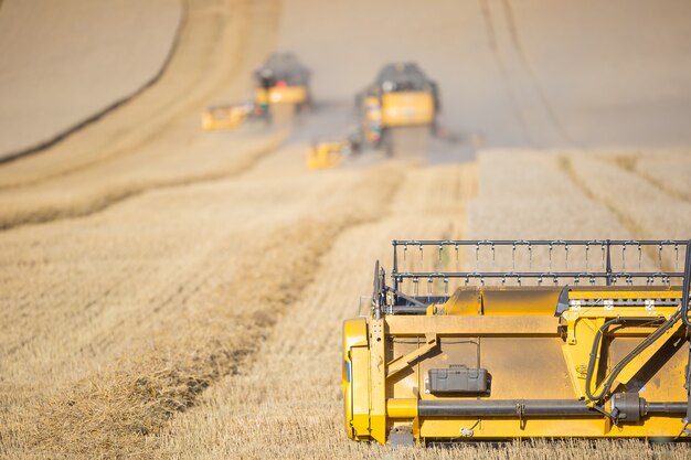 Mietitrebbiatrice nel lavoro sul campo di grano.