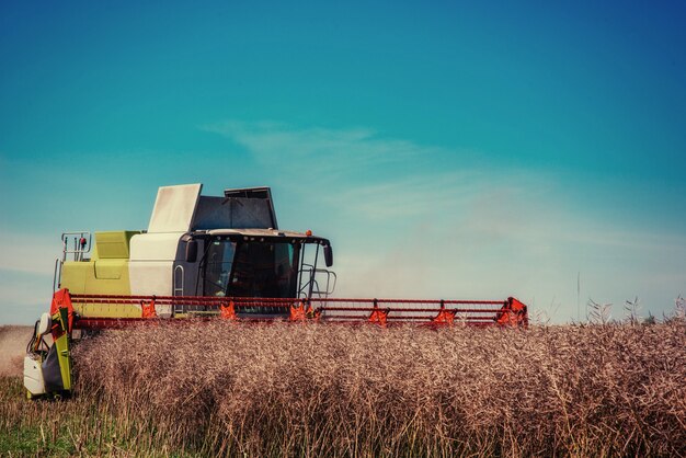 Mietitrebbiatrice su un campo di grano