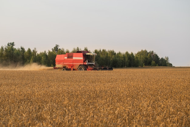 Mietitrice nel campo di grano