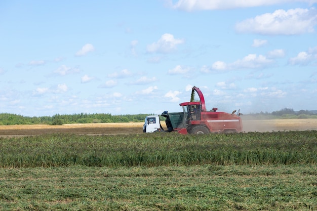 Mietitrice rossa in un campo rurale. Concetto di raccolta del grano in una soleggiata giornata estiva, vista laterale.