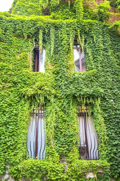 MILANO, ITALIA - CIRCA AGOSTO 2020 - Integrazione tra natura e immobili in questo vecchio edificio italiano